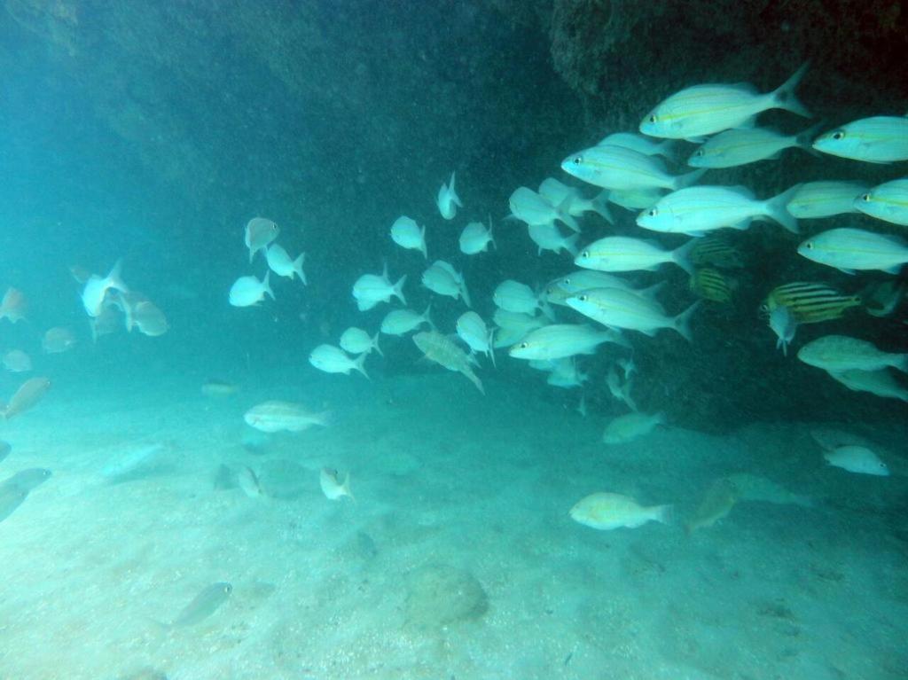 Kitnet Sabrinna Maceio  Luaran gambar